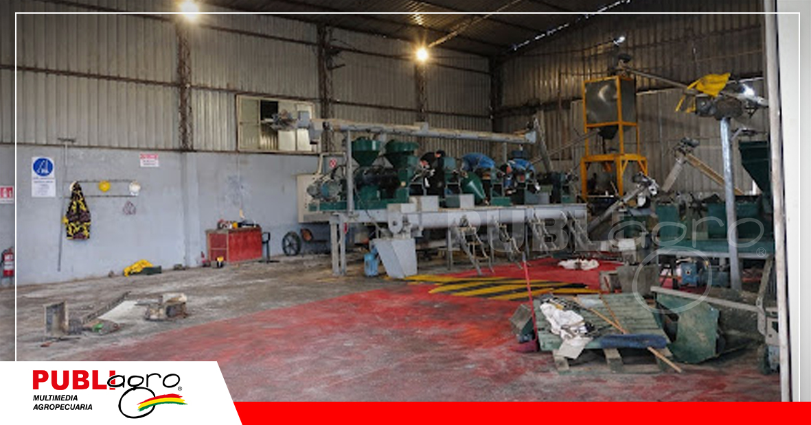 Foto: Marianela Bozzo