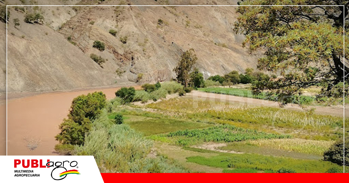 Foto: Red Ambiental de información