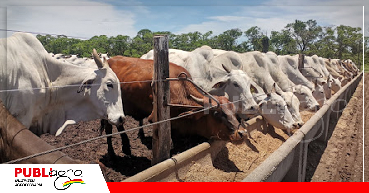 Foto: Archivo Publiagro