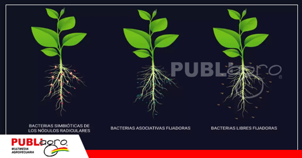 Animación: Eos Data Analytics