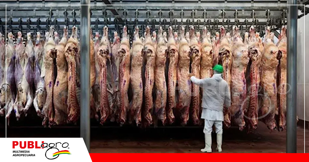 Los frigoríficos certificados están a la espera de los protocolos del Senasag / Foto: Internet