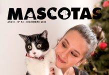 Revista Mascotas | Diciembre 2025