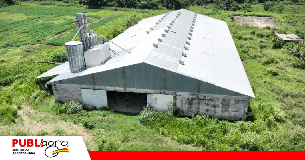 Silos de almacenamiento en desuso / Foto: Internet