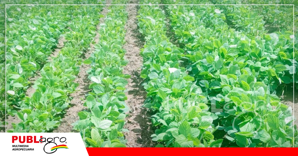 Foto: Chaly Balderas Cortéz