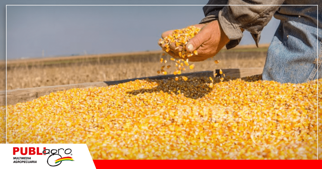 El contrabando de granos en Yacuiba es Vox Populi / Foto: Internet