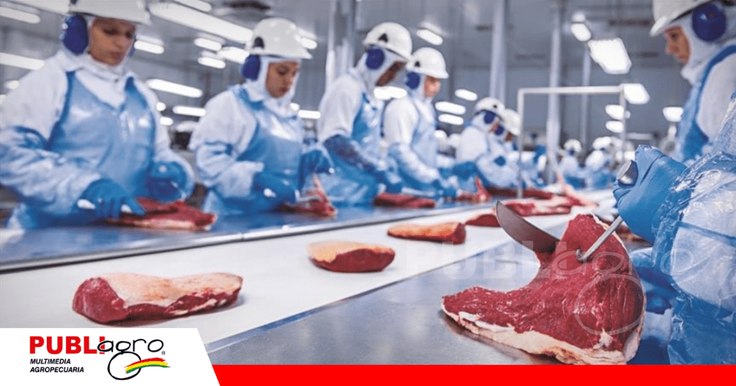 Exportaciones a Emiratos Arabes corren peligro ante el anuncio / Foto: Internet