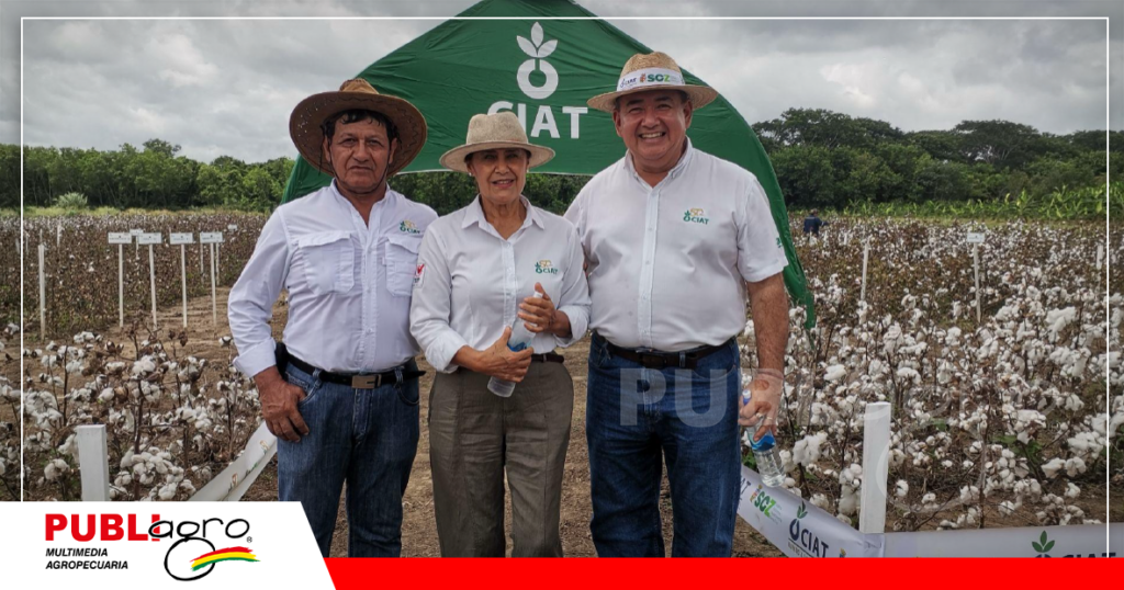 Equipo de CIAT encargado de investigación/ Foto: Publiagro