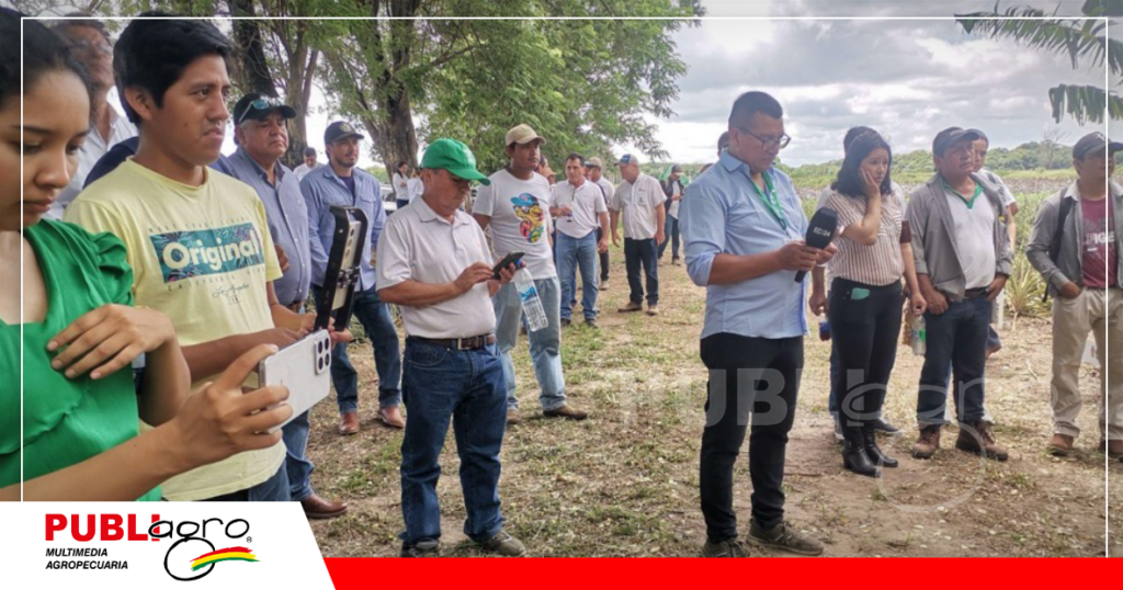 Visita de productores, estudiantes,técnicos y medios de la prensa/ Foto: Publiagro