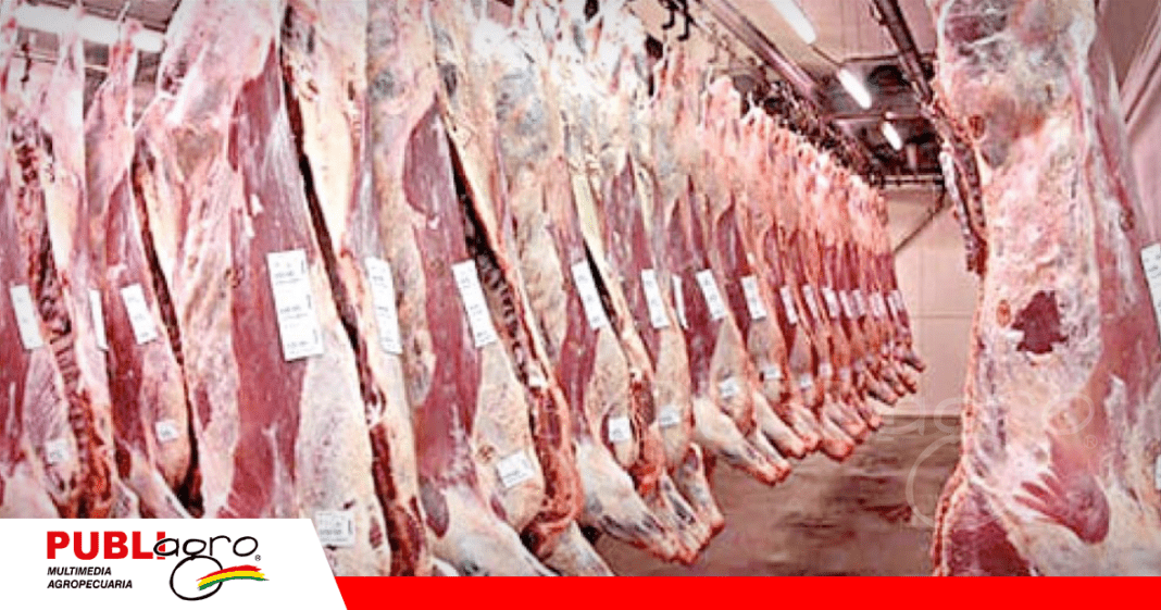 La carne boliviana pronto estará en el mercado egipcio / Foto: Internet