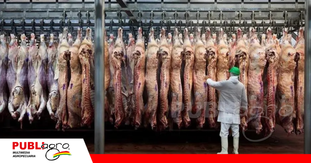 Los frigoríficos BFC, Fridosa y Frigor están listos para exportar carne a Egipto / Foto: Internet