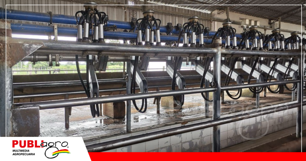 Cuentan con una ordeña tecnificada/ Foto: Publiagro