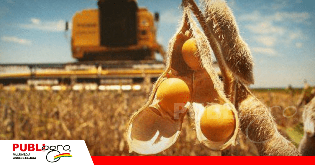 Ya se inició la cosecha de verano y el diesel es fundamental para esta etapa / Foto: Internet