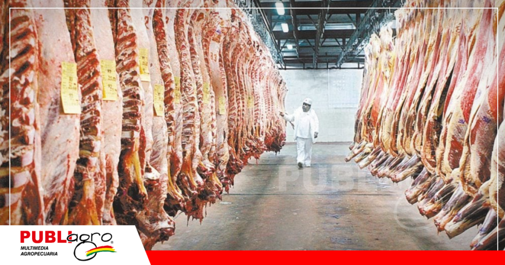 Están por aprobarse 3 frigoríficos adicionales para seguir exportando carne / Foto: Internet