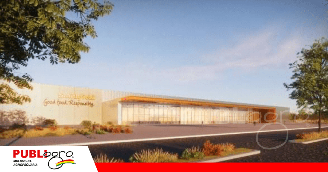 La puesta en marcha de este mega proyecto estará en marcha en el 2027 / Foto: Internet