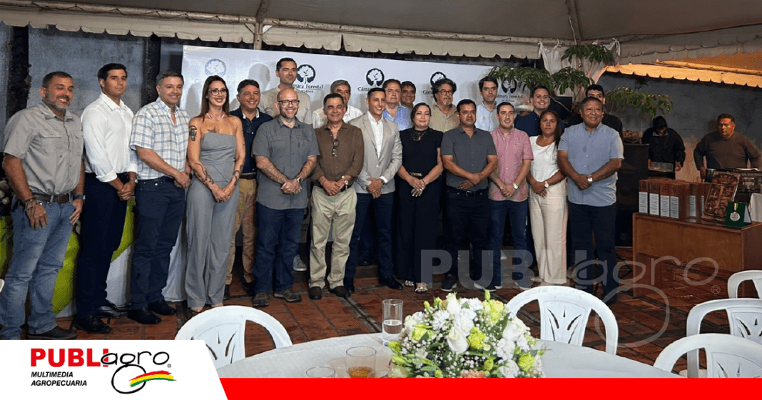 Nuevo directorio de la Cámara Forestal de Bolivia / Foto: CFB