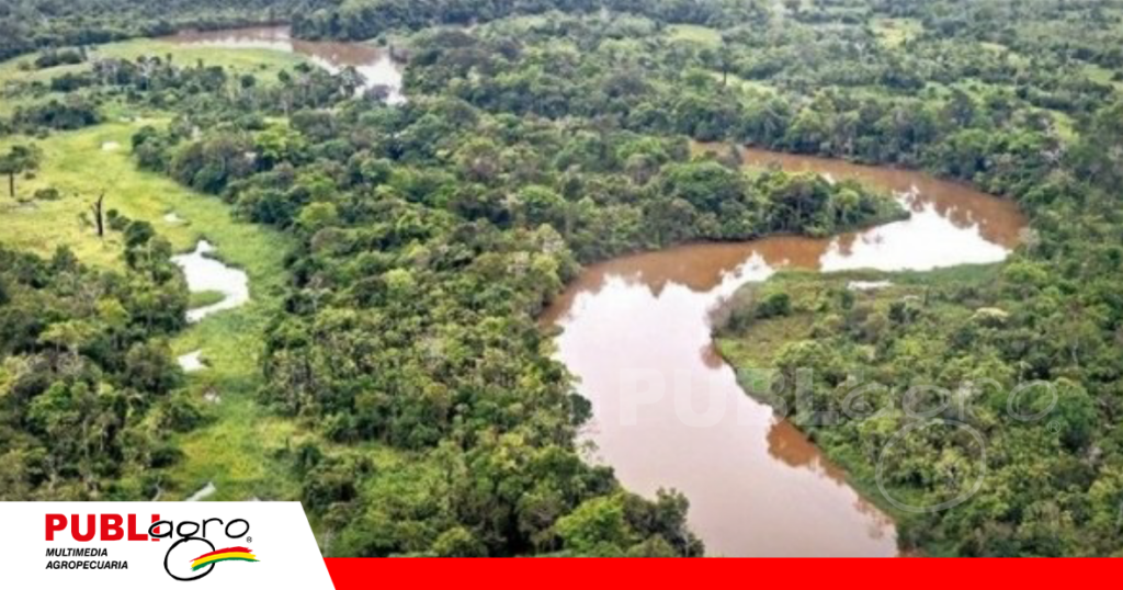 Los bonos verdes que se puede explotar de los mismos bosques / Foto: Internet