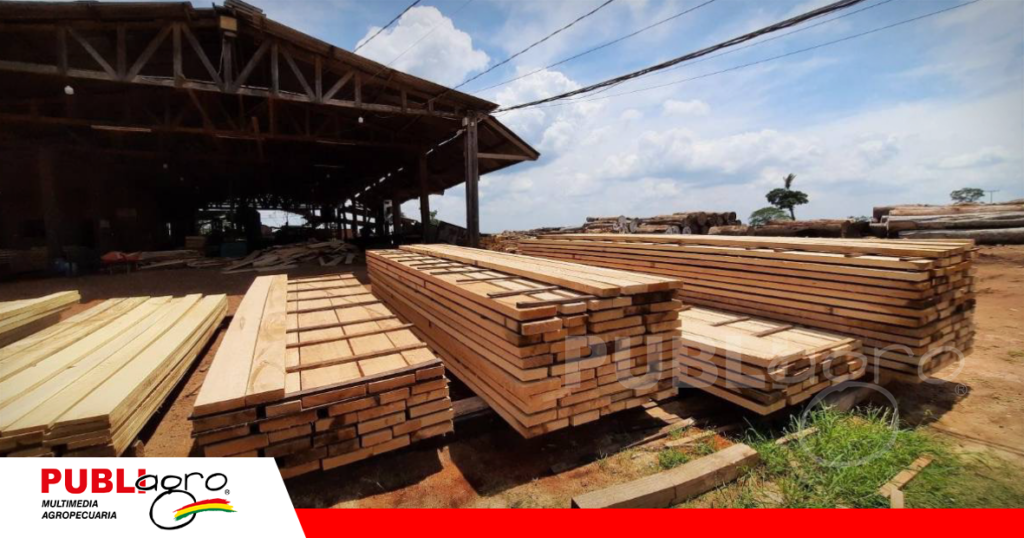 La economia forestal oscila entre 100 a 200 millones de exportación / Foto: Internet