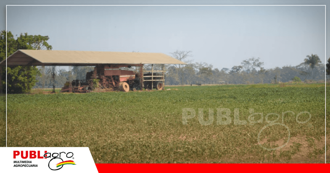 El potencial agroproductivo del Beni es alto / Foto: Internet