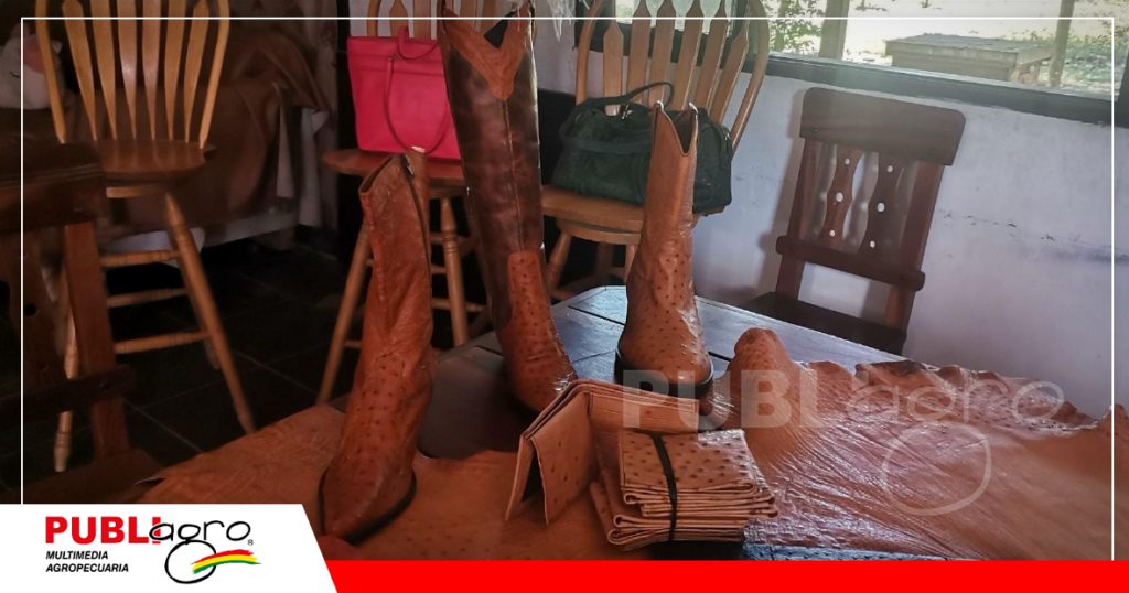 La piel, las plumas y las pestañas también son aprovechadas/ Foto: Publiagro