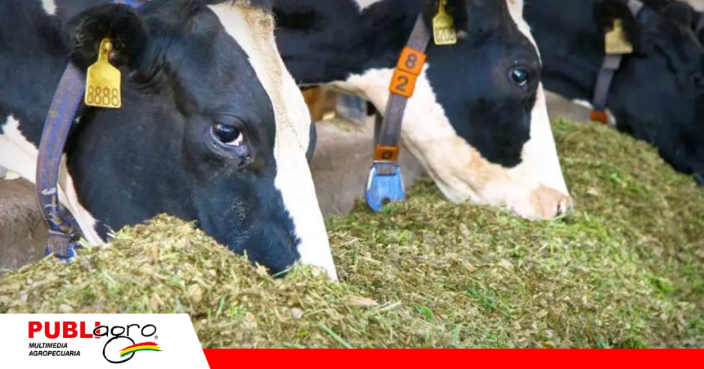 Foto: Contexto Ganadero