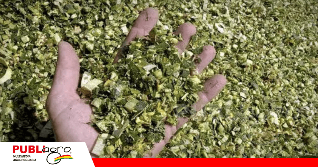 Foto: Contexto Ganadero