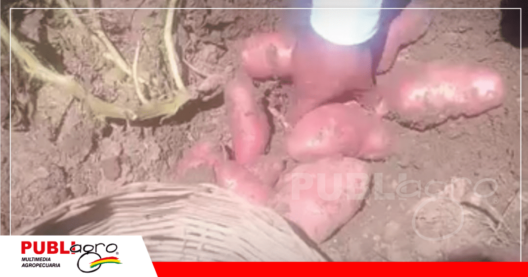 Foto: Gobierno Municipal de Moro Moro