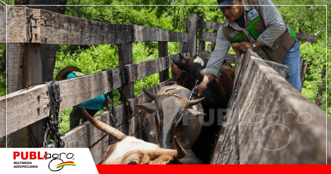 Foto: Gobierno Municipal de Yacuiba