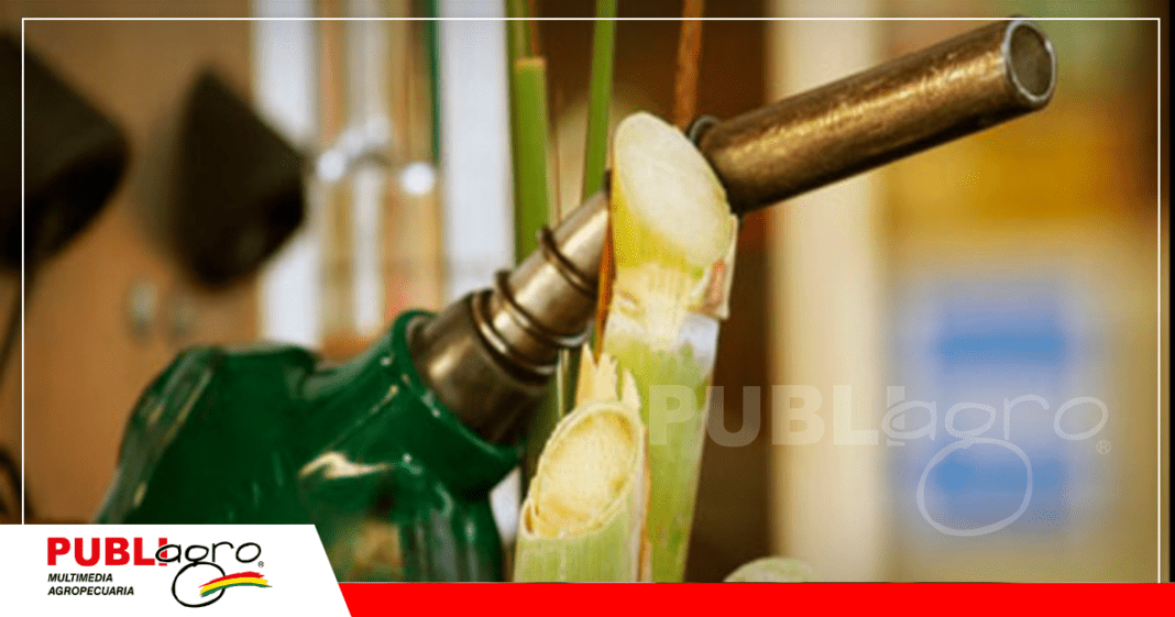 Para los cañeros es fundamental el consumo de biocombustible en Bolivia / Foto: Internet