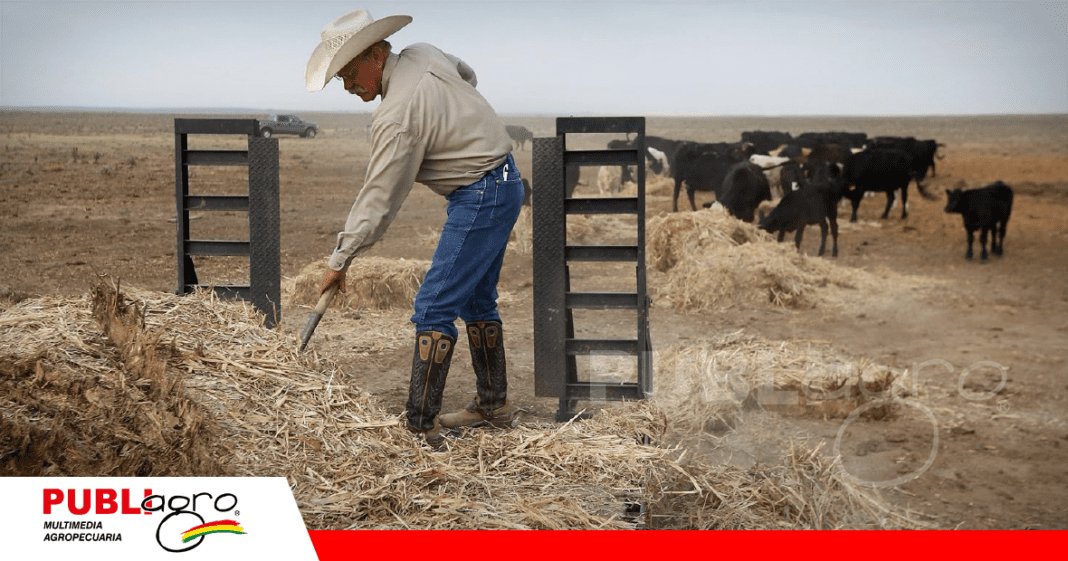 Productores de EEUU sufren por la depresión por la baja en cantidad de animales / Foto: Internet