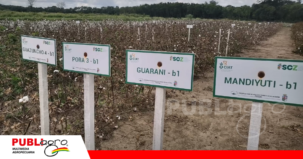 Materiales probados con éxito/ Foto: Publiagro