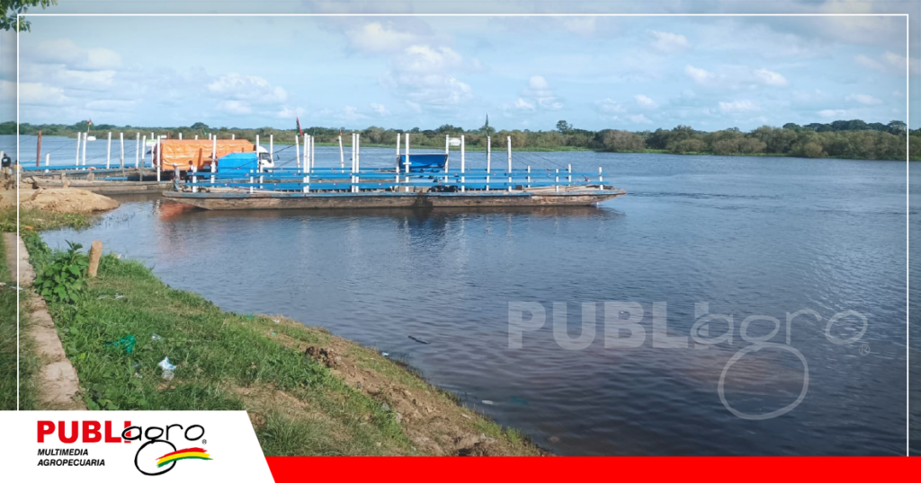 La cuenca fluvial del Beni es extensa / Foto: Publiagro