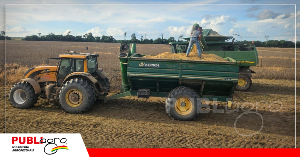 La cosecha de verano ya esta a punto de la cosecha / Foto: Anapo