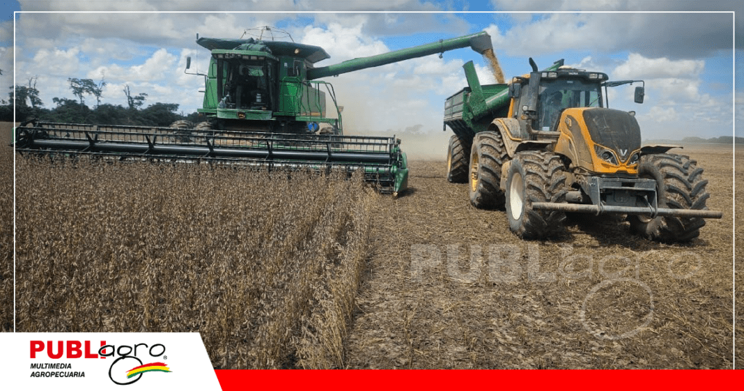 Anapo indica que el grano de soya ya puede salir del país / Foto: Anapo