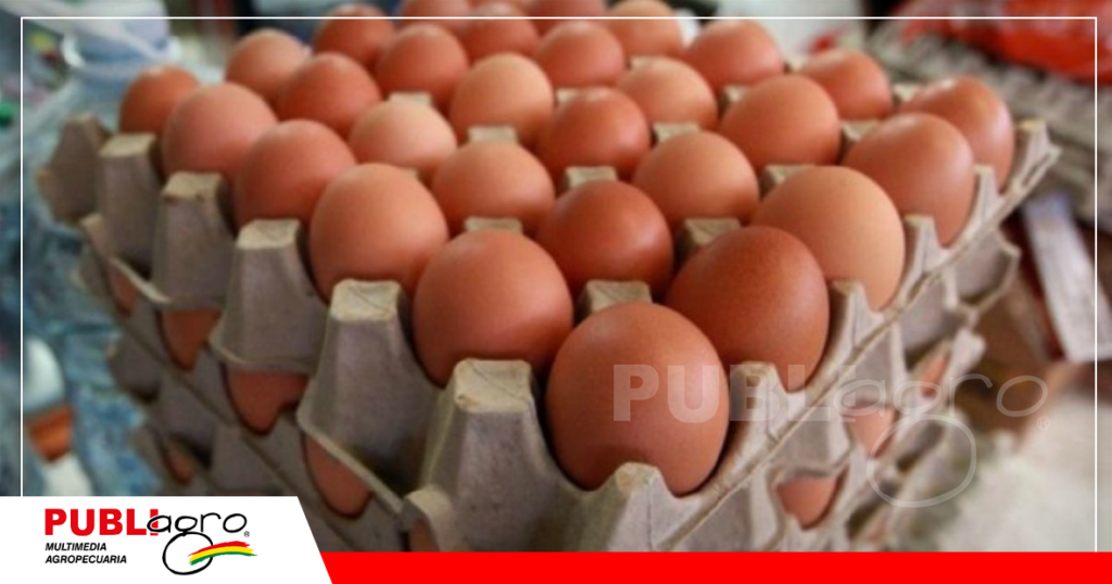El precio del huevo registró una caída de precios / Foto: Internet