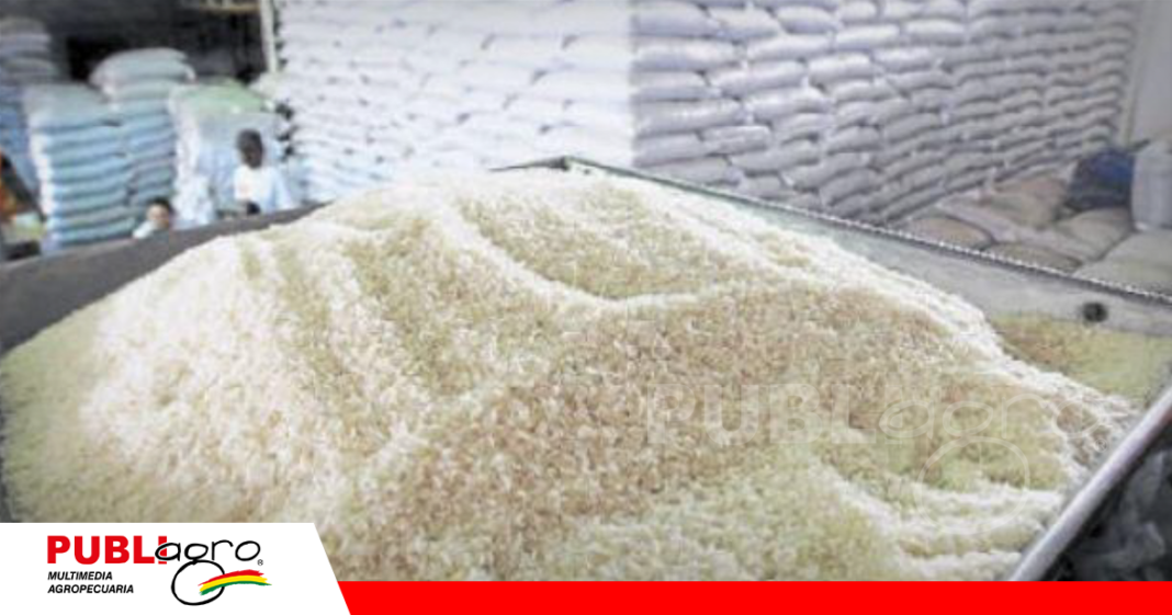 Los ingenios arroceros sufren las consecuencias por el contrabando / Foto: Internet