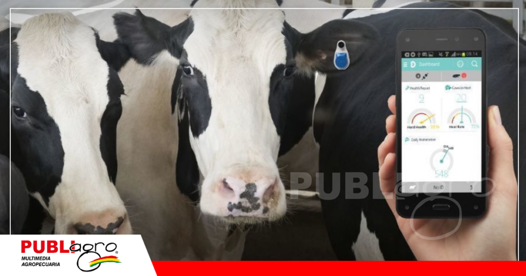 El uso de software para la ganadería es común en el mundo / Foto: Internet