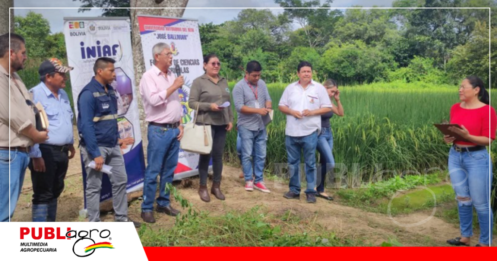 Un trabajo en conjunto entre el Iniaf y la UAB/Foto: Publiagro