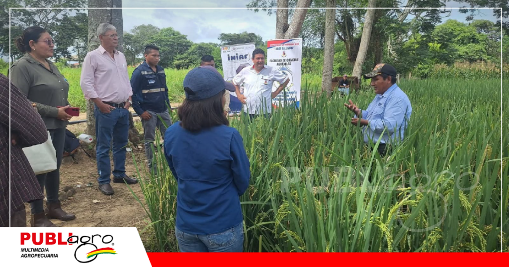Explicacion sobre el certificación y registro de semillas/ Foto: Iniaf