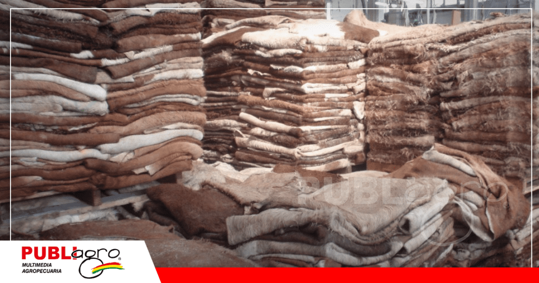 Con el cumplimiento de las normas, el Senasag termino el protocolo de exportación de cuero boliviano / Foto: Internet