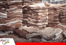 Bolivia abre las puertas del cuero bovino al exigente mercado alemán Con el cumplimiento de las normas, el Senasag termino el protocolo de exportación de cuero boliviano / Foto: Internet