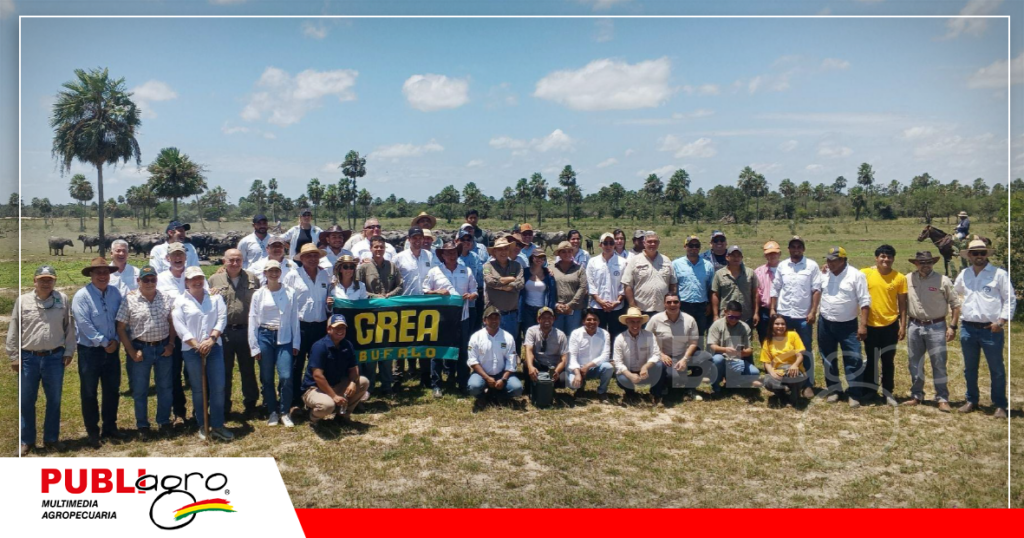 CREA Búfalos/ Foto: Publiagro