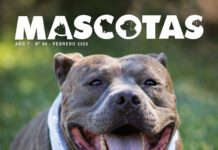 Revista Mascotas | Febrero 2026