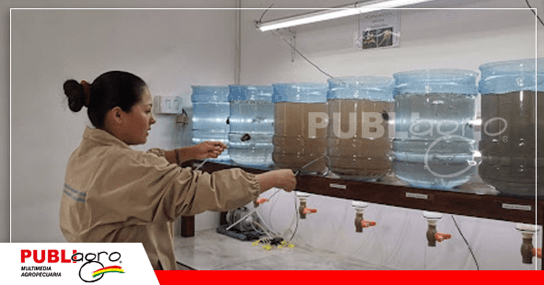 Laboratorio de alimento vivo, donde se cultiva la Artemia/ Foto: Publiagro
