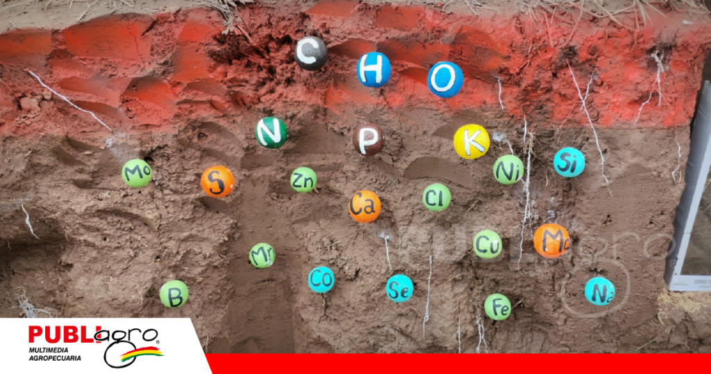 Casa pelotita representa todos los nutrientes que debe tener el suelo/ Foto: Publiagro