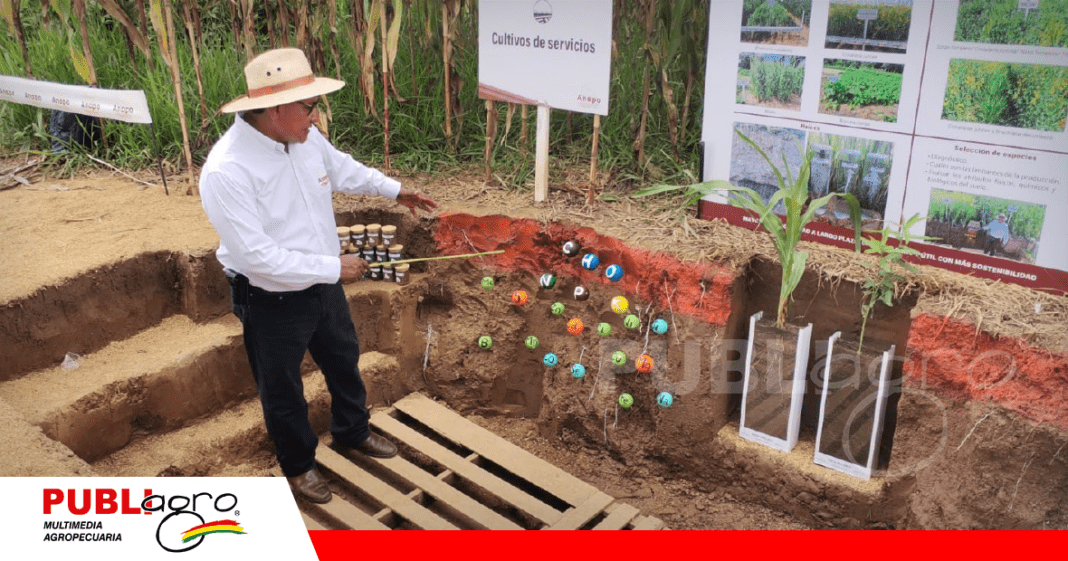 Calicata para ver características del suelo/ Foto: Publiagro