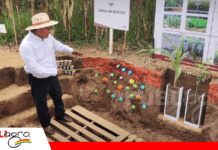 Calicatas permiten analizar nutrientes y estructura del suelo Calicata para ver características del suelo/ Foto: Publiagro