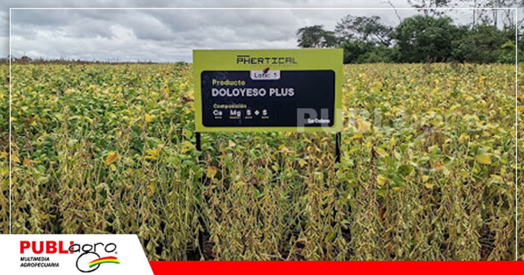 Doloyeso Plus contiene calcio, magnesio y azufre fue lo que se usó en el campo/ Foto: Publiagro