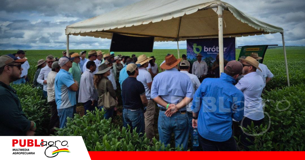 Las parcelas de Broter Itacamba en las jornadas CREA / Foto: Itacamba