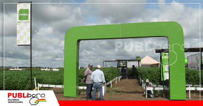 Muchos visitantes atraídos por los productos orgánicos/ Foto: Publiagro