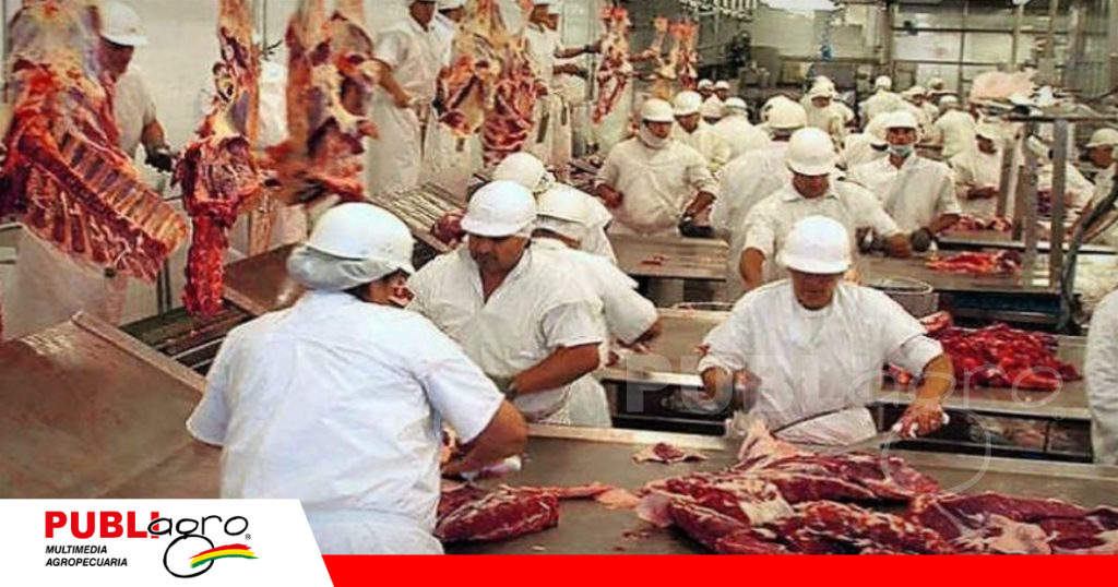 Los frigorificos pueden acceder a un nuevo punto de venta de carne al exterior / Foto: Internet